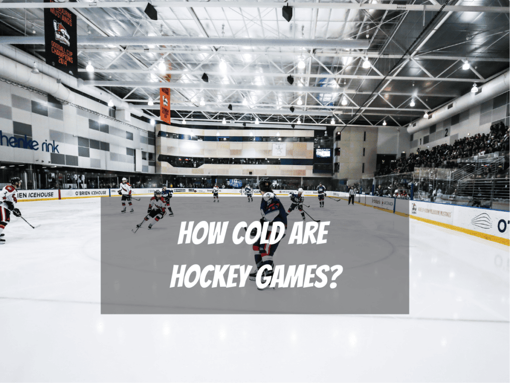 Spectators Watch An Ice Hockey Game As They Learn How Cold Are Ice Hockey Games?