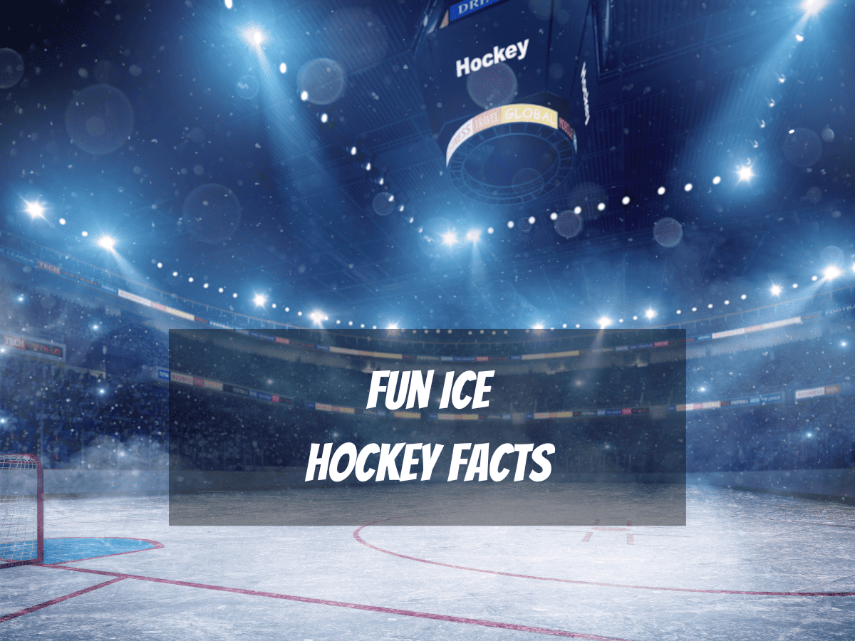 An Ice Hockey Stadium Full Of Cheering Fans As Example For Fun Hockey Facts